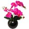 1 Piece 13-Inch Fuchsia Phalaenopsis Orchid Flowers in 5-Inch Round Black Vase, Lifelike Floral Décor, Perfect for Home, Office, and Event Displays